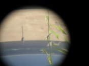 Изображение 2908.jpg