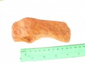 SDC13994.jpg