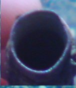 DSC00007.JPG