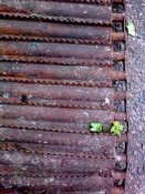 Фото0248.jpg