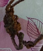 _20180805_171503.JPG