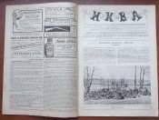 Журнал " Нива" № 30 1915 г