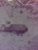 IMG_20180805_110329.jpg