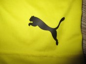 IMG_4250.JPG