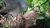 IMG_20180805_144451.jpg