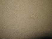 IMG_1801.JPG
