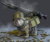 MG-бульдог.jpg