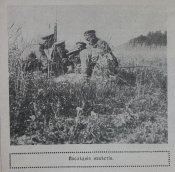Журнал " Нива" № 32 1915 г