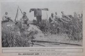 Журнал " Нива" № 32 1915 г