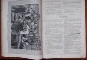 Журнал " Нива" № 24 1914 г