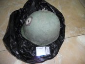 DSCN1763.JPG