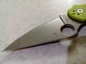 IMG_20180811_205516.jpg