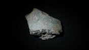 DSC_0014.jpg