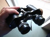 IMG_2828.jpg