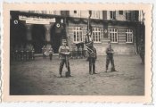 4_650_Foto_postroenie_vermahtRAD3_reyh3_sht_9620391.jpg