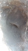 20180806_092409.jpg