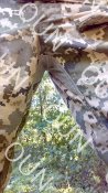 IMG_20180810_143850.jpg