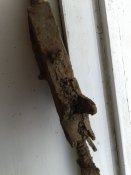 20180816_174316.jpg