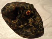 DSC05479.jpg