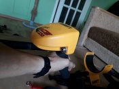 20180818_123144.jpg