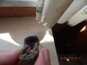 DSCN6086.JPG