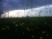 PIC-0218.jpg