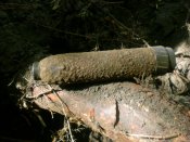 DSCN6049.jpg