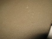IMG_3381.JPG