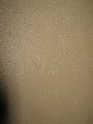 IMG_3390.JPG