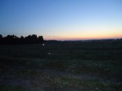 DSC02743.JPG