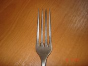 DSC03381.jpg