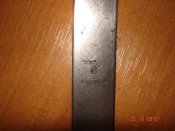 DSC03378.jpg