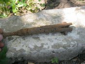 IMG_8881.JPG