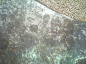 IMG1069A.jpg