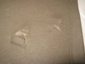 IMG_3429.JPG
