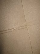 IMG_3436.JPG