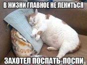 C13944EC-F5F4-4C5D-8D8E-95A1B99F8CFD.jpeg