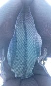 IMG_20180824_094206_740.jpg