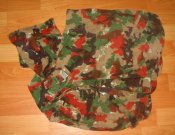 DSC04817.JPG