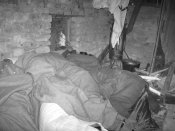 zzz 100-1.jpg