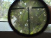DSC01587.jpg