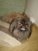 20180818_074412.jpg