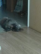 20180811_104904.jpg