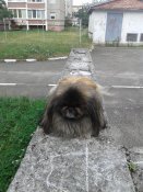 20180822_161359.jpg