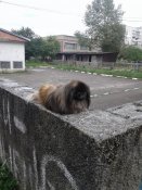 20180822_161342.jpg