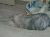20180825_174605.jpg
