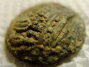 DSCF7342.JPG
