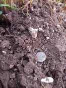 20180826_082441.jpg