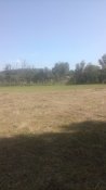 IMG_20180826_142630.jpg