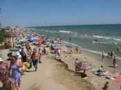 IMG_3163.JPG